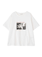 アソート柄フォトTシャツ | 春 夏 シアーシャツ コーデ